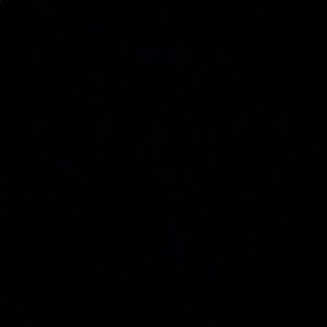 Meet your Posher, Paola